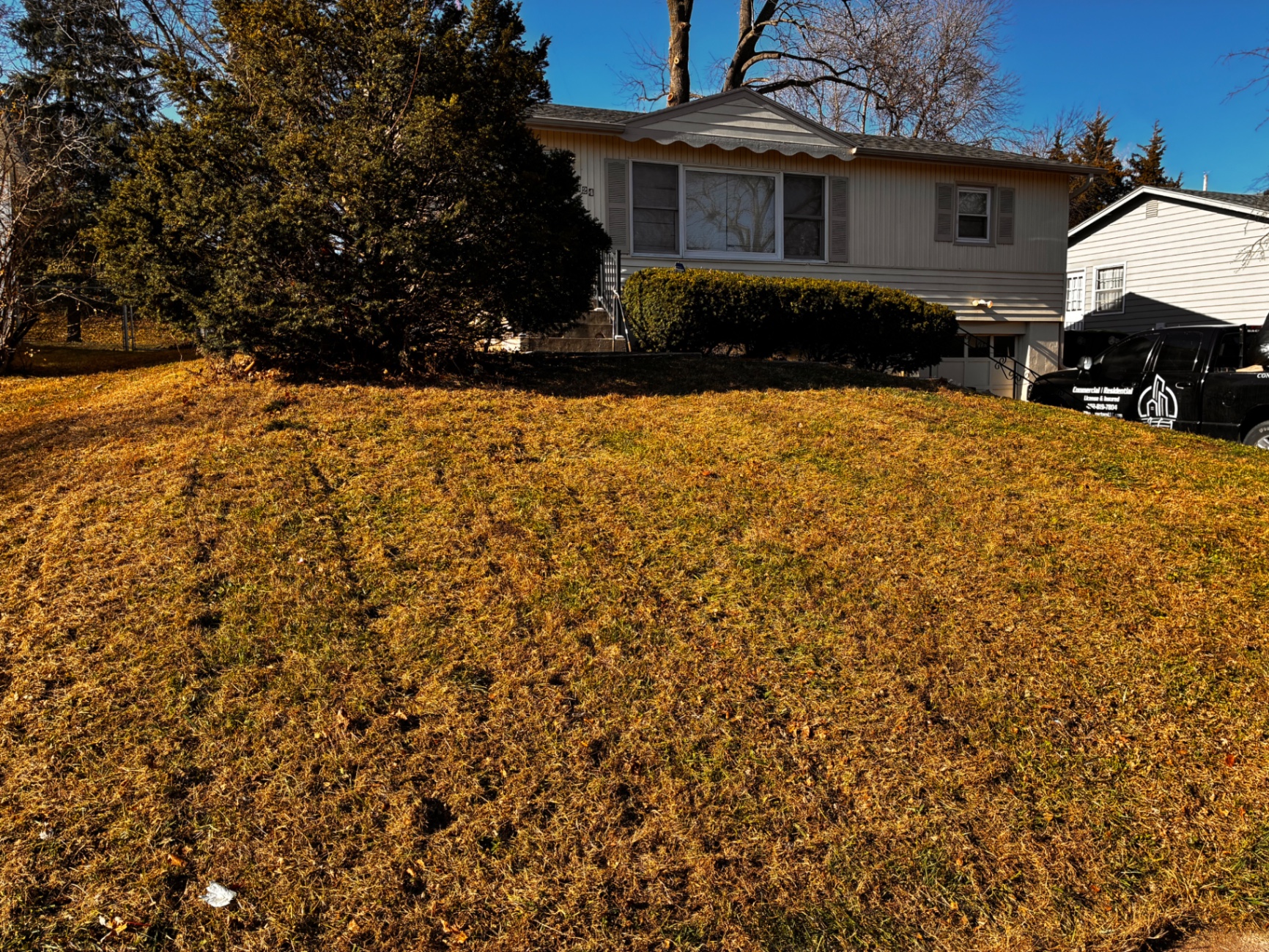 Leaf Cleanup — Front yard