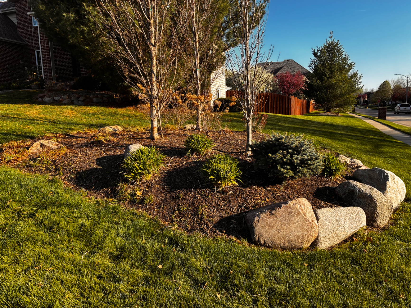 Landscape bed refresh — Before